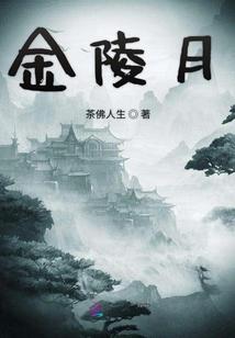 金陵月华价格多少