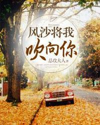 风沙将我吹向你大结局