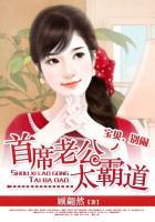 首席霸道总裁老公宝贝继续