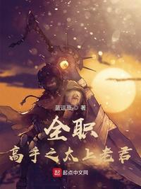 全职高手之儿子