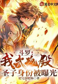 是武魂殿圣子