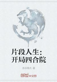 四合院开局做个好人笔趣阁