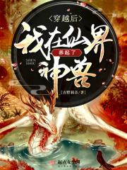 穿越后我在仙门