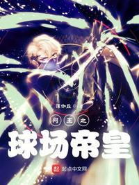 网王之球场帝皇顶点