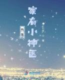 重生神医小媳妇
