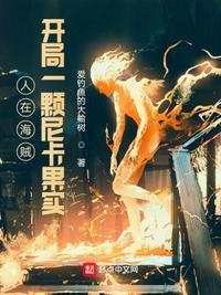 人在海贼开局一颗磁力果实