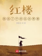 红楼之宁国府当王爷