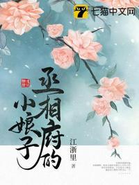丞相小夫人全文免费阅读