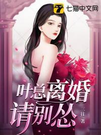 叶总离婚请别怂短剧