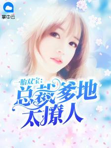 一胎双宝总裁爹地太撩人短剧