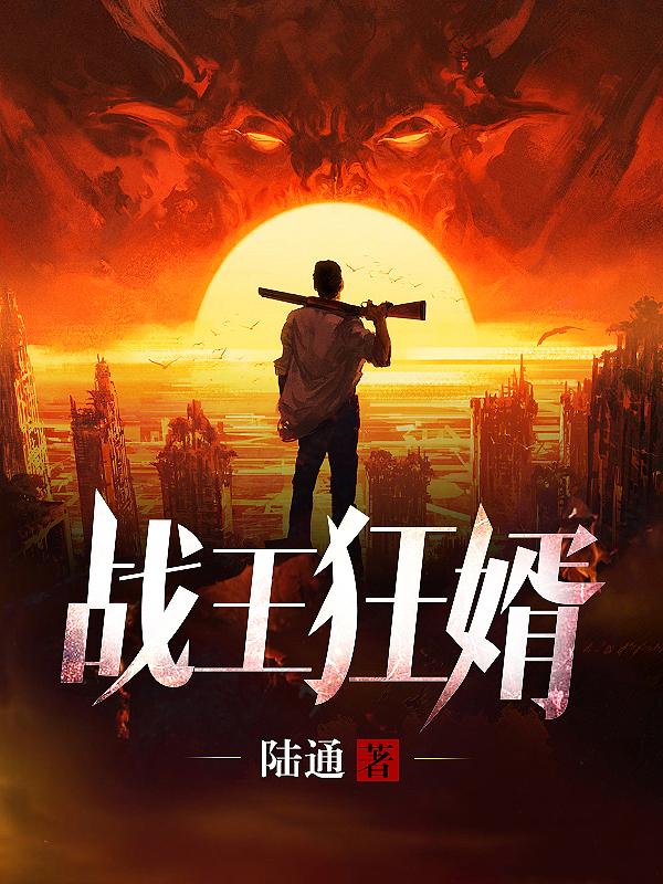 无双战婿之无双