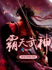 霸天武神 聚合中文网