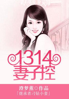 继承者的隐秘宠妻