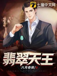 翡翠天王电视剧