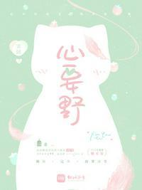 心要野吉他谱原版