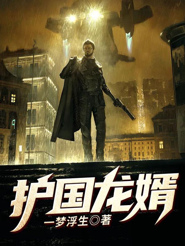 护国战神萧战穆如雪TXT