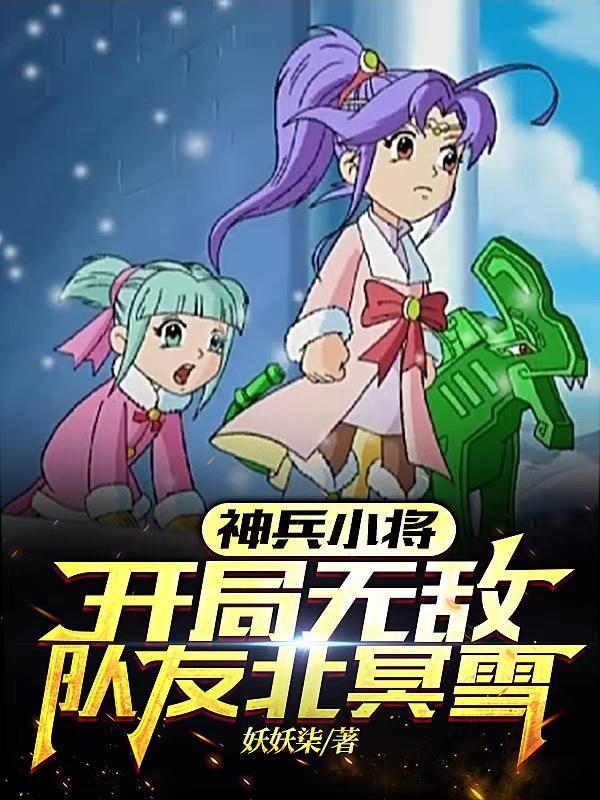 神兵小将之穿越北冥雪
