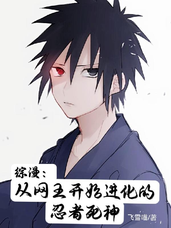综漫从网王开始进化的忍者死神精校版