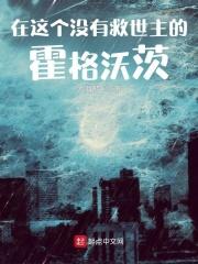 霍格沃茨不需要什么救世主笔趣阁