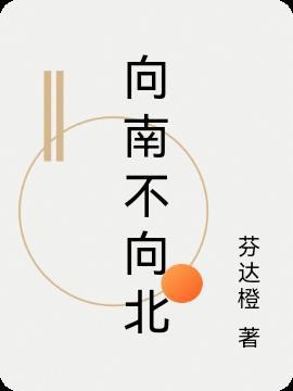南向 北向