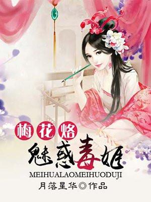 梅花烙dvd