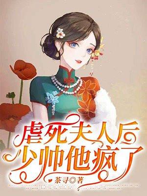 少帅他疯了! 司晏