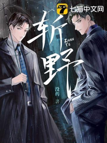 斩野讲了什么故事