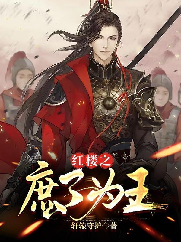 红楼之庶子为王贾琮