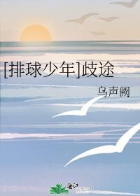 排球少年新作