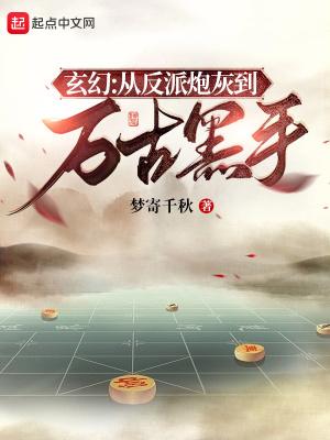 反派就是这样子的 雪满长安