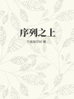 序列之争大致剧情