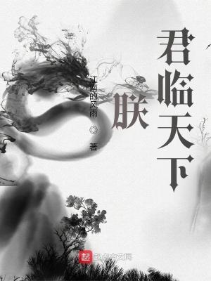 朕君临天下TXT奇书网