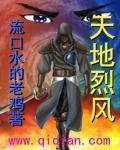 天地烈风尼西妮斯