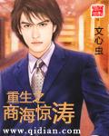 重生商海惊涛123