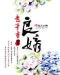 良婿人物结局