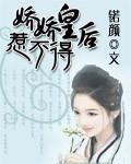 娇宠继皇后全文书包网