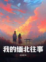 我的缅北往事讲的什么