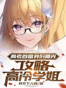 攻略高冷学姐是什么