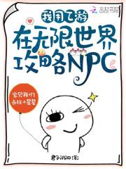 我用乙游在无限世界攻略NPC 百度