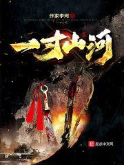 一寸山河一寸血42集纪录片完整版