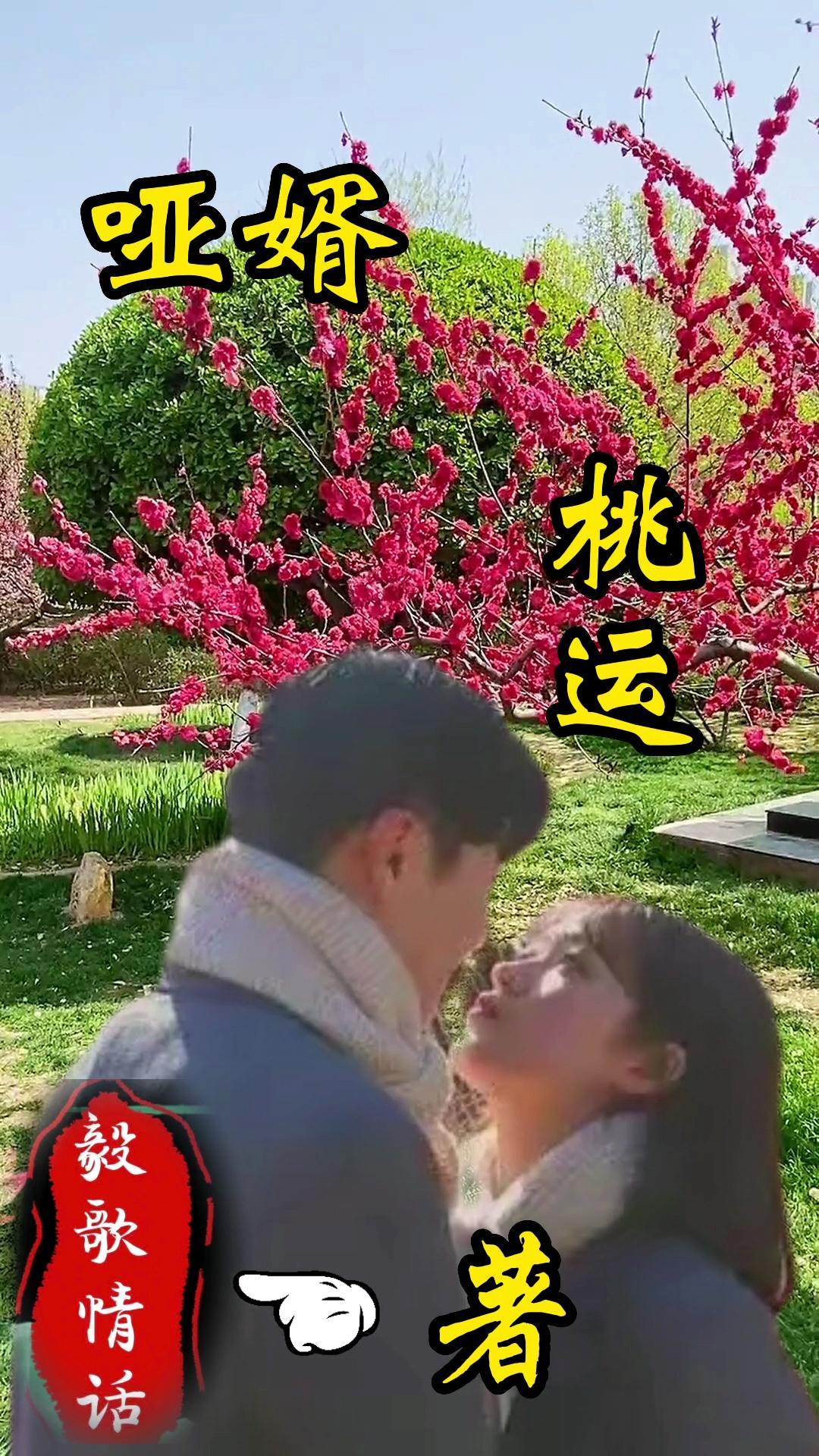 哑妻免费阅读全文