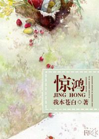 惊鸿宴什么意思