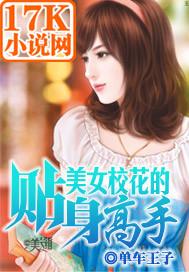 校花的贴身高手gm