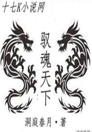 驭奴天下一共有多少章