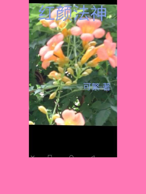红颜法神原著叫什么名字