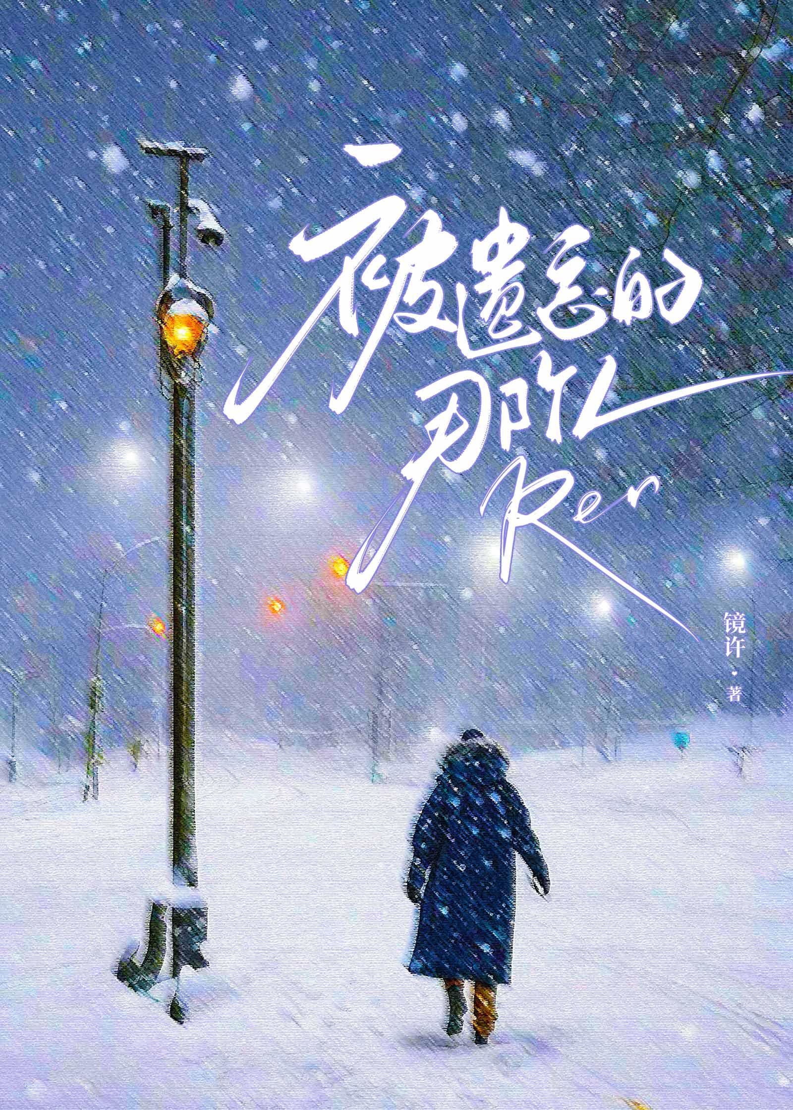 被遗忘的那个人第30章