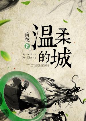 温柔的城 南枝