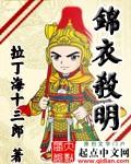 锦衣杀明燃文