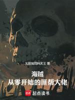 从海贼开始的剑豪