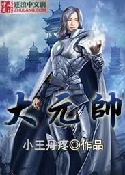 大元帅的手杖